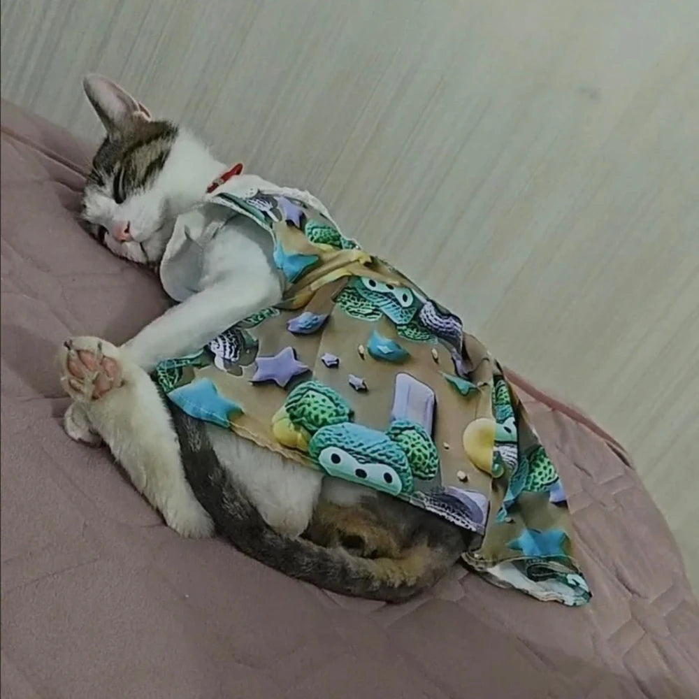 Lace Collar Dress for Cats & Small Dogs