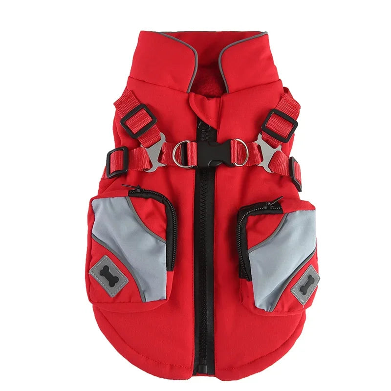 2-in-1 Dog Jacket & Harness with Pocket