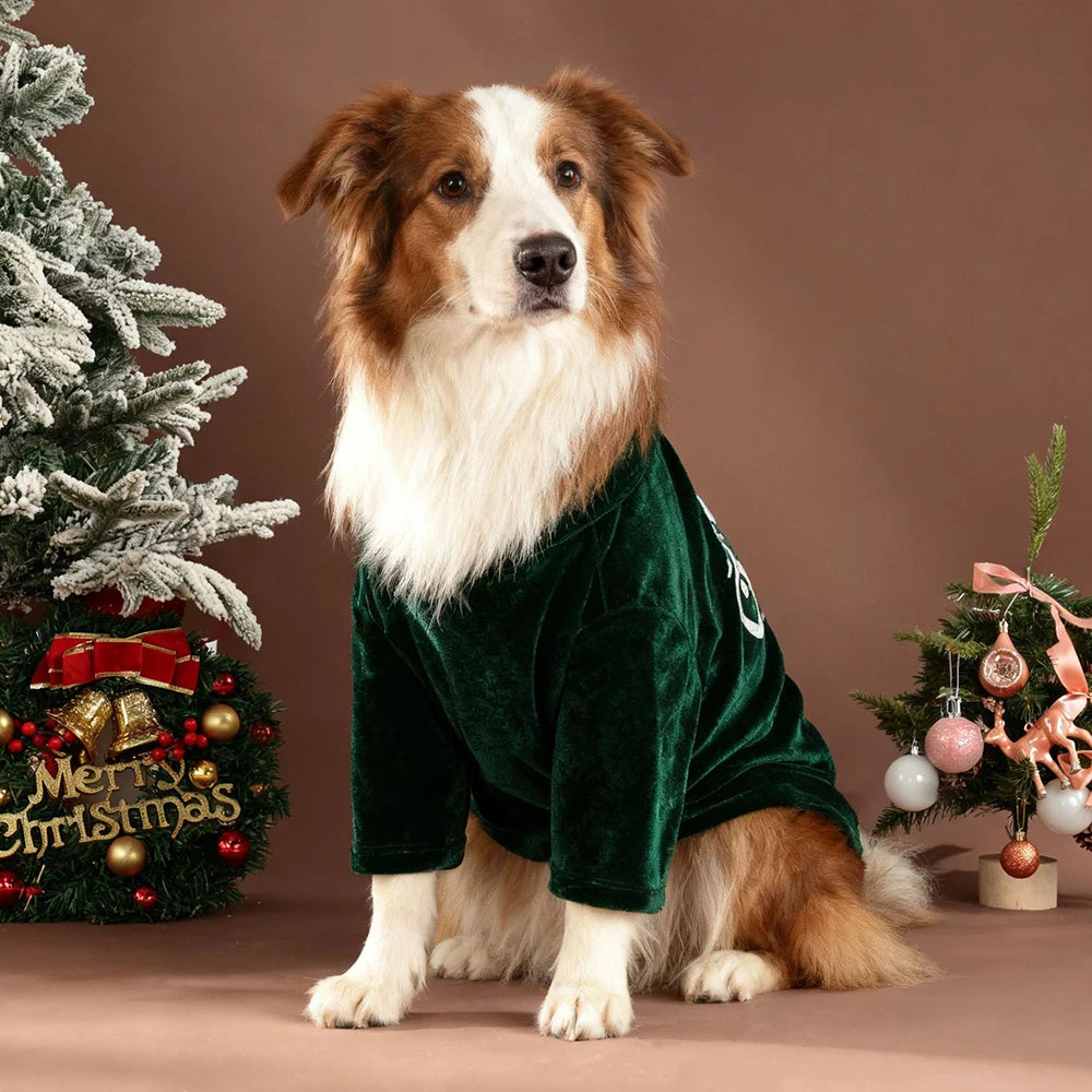 Christmas Dog Sweater
