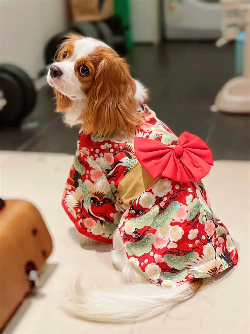 Japanese Kimono Costume for Cats & Dogs