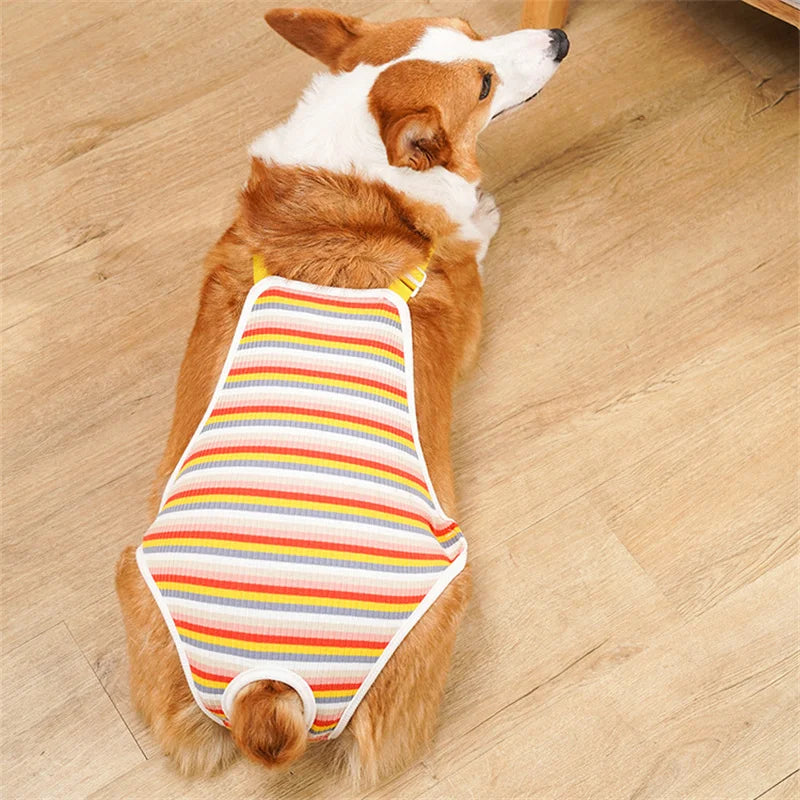 Striped Adjustable Physiological Shorts for Female Dogs