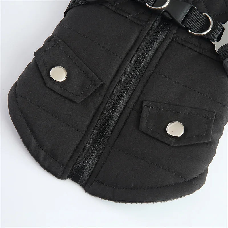 2-in-1 Dog Jacket & Harness with Pocket