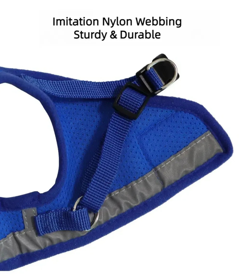 Ensemble harnais et laisse anti-évasion pour animaux de compagnie – Gilet en maille réfléchissante pour chats et petits chiens