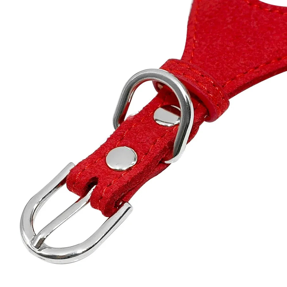 Harnais universel pour chien – Accessoires pour animaux de compagnie petites et grandes races