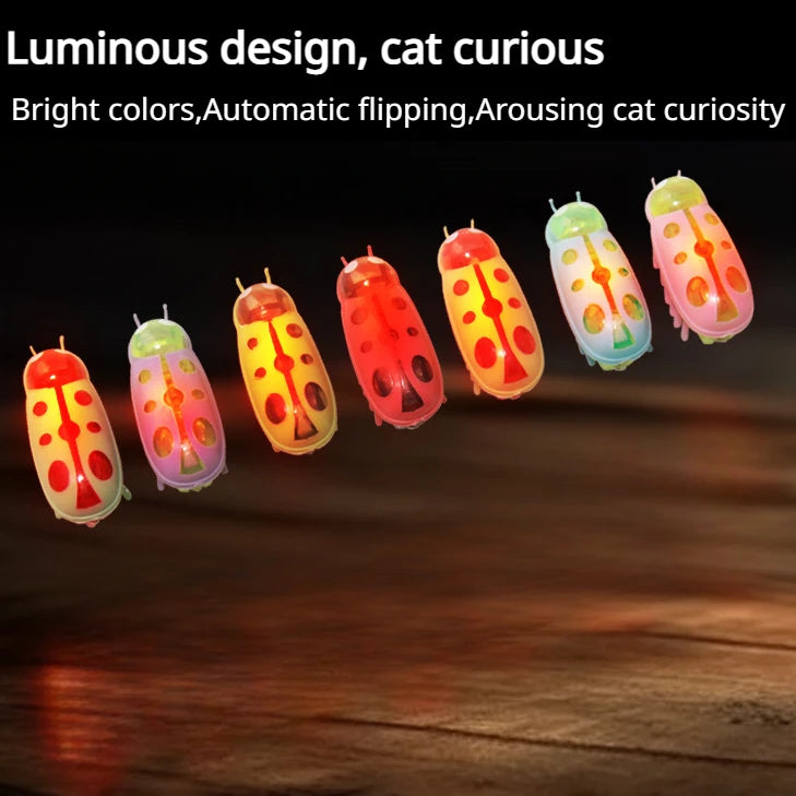Electronic Cat Bug & Mouse Toys