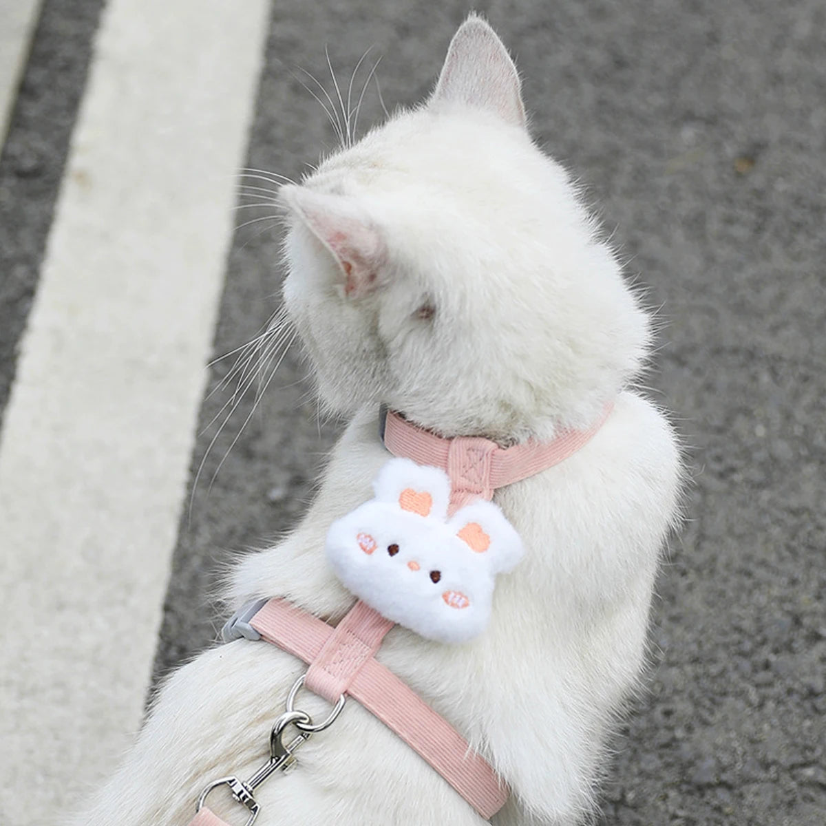 Breathable Adjustable Harness & Leash Set for Cats and Small Dogs