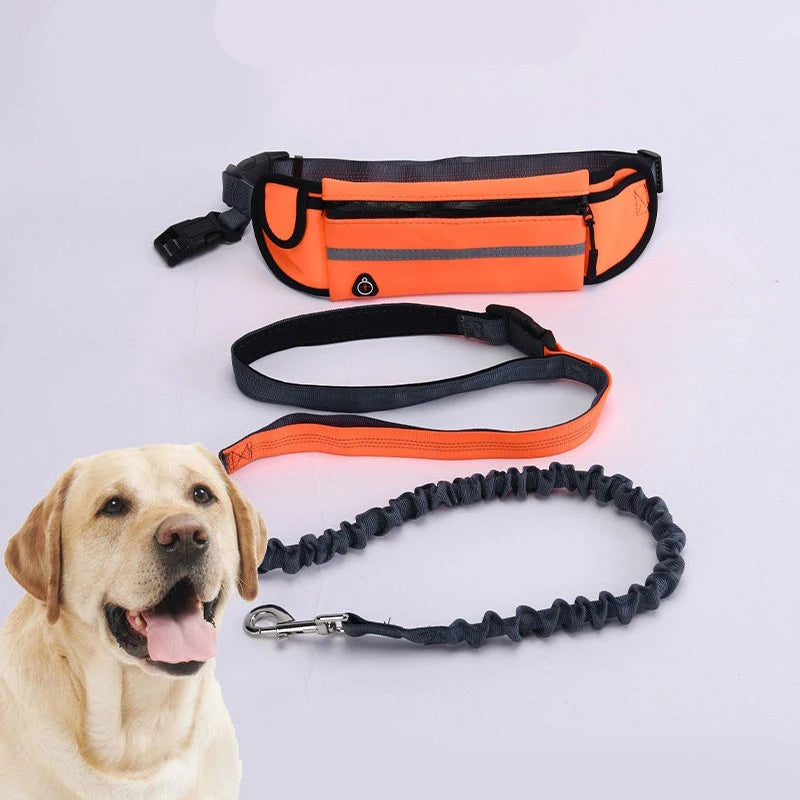 Laisse pour chien mains libres avec sac banane - Ceinture de course réfléchissante