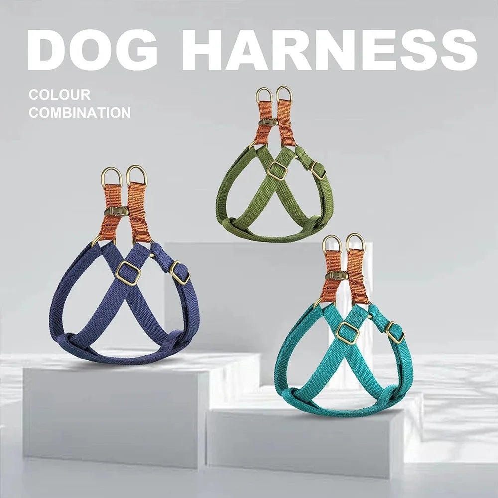 Ensemble harnais de dressage et collier personnalisé pour chien