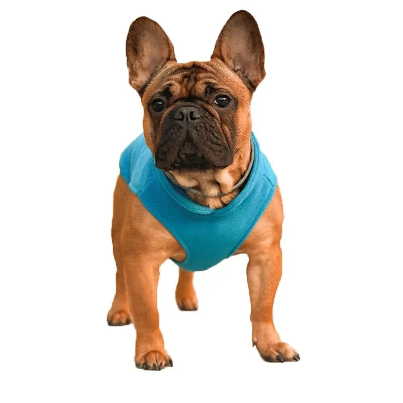 Gilet Polaire pour Petits Chiens et Chats | Manteau d'Hiver Chaud pour Chihuahuas et Bouledogues Français