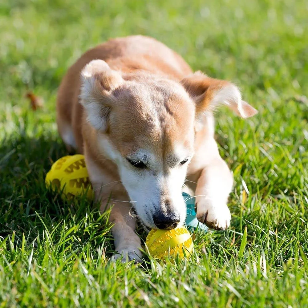 Interactive Rubber Chew Ball