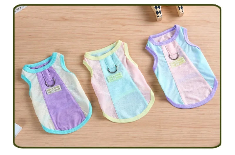 Gilet rafraîchissant réfléchissant et t-shirt d'été pour chiens et chats de petite, moyenne et grande taille