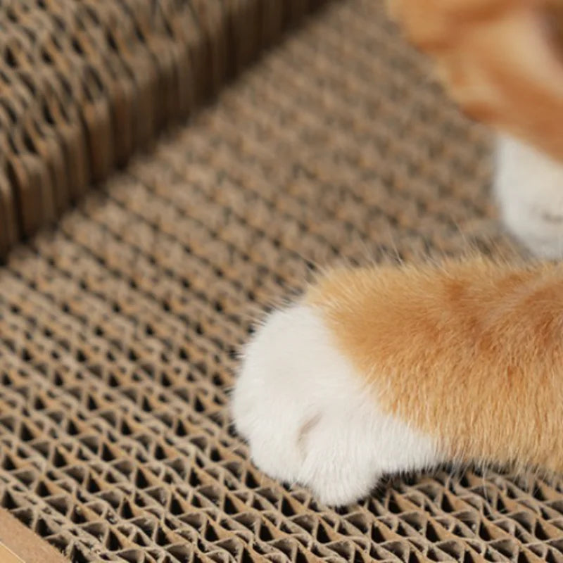 2-in-1 Cat Scratching Board & Post