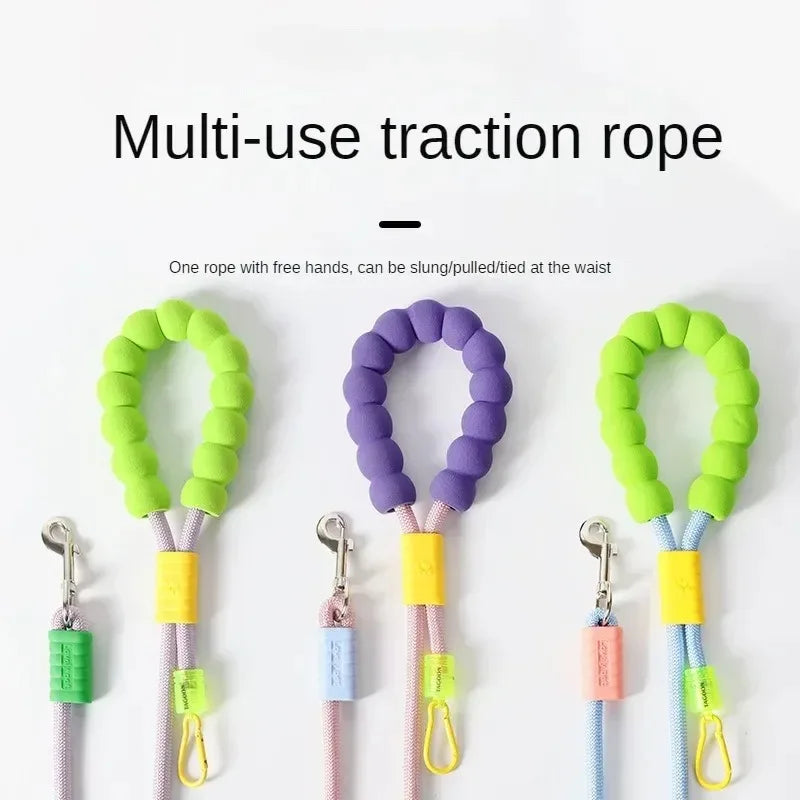 Ensemble laisse et collier premium pour chiens - Chiens de petite à moyenne taille