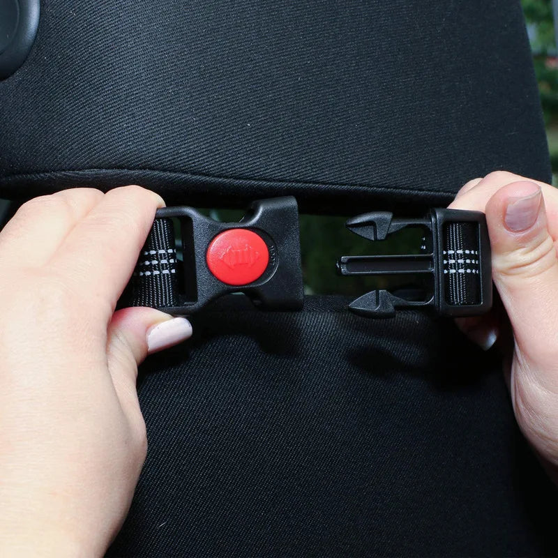 Reflective Dog Car Seat Belt and Walking Leash for Small Dogs