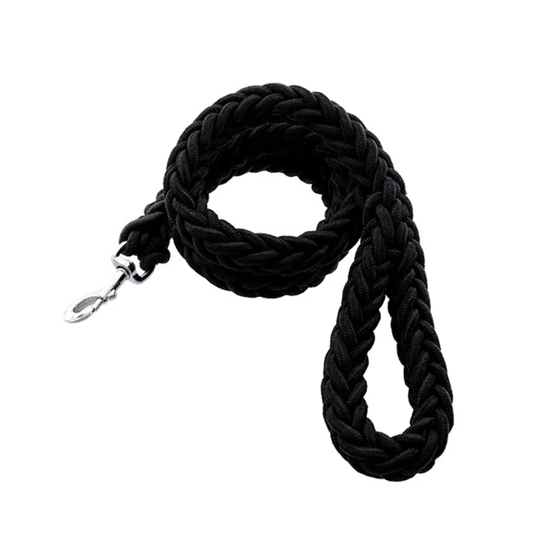 Heavy-Duty Nylon Dog Lead