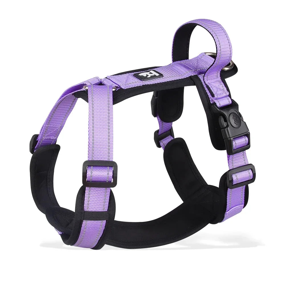 Ensemble Harnais et Collier Professionnel pour Dressage de Chien