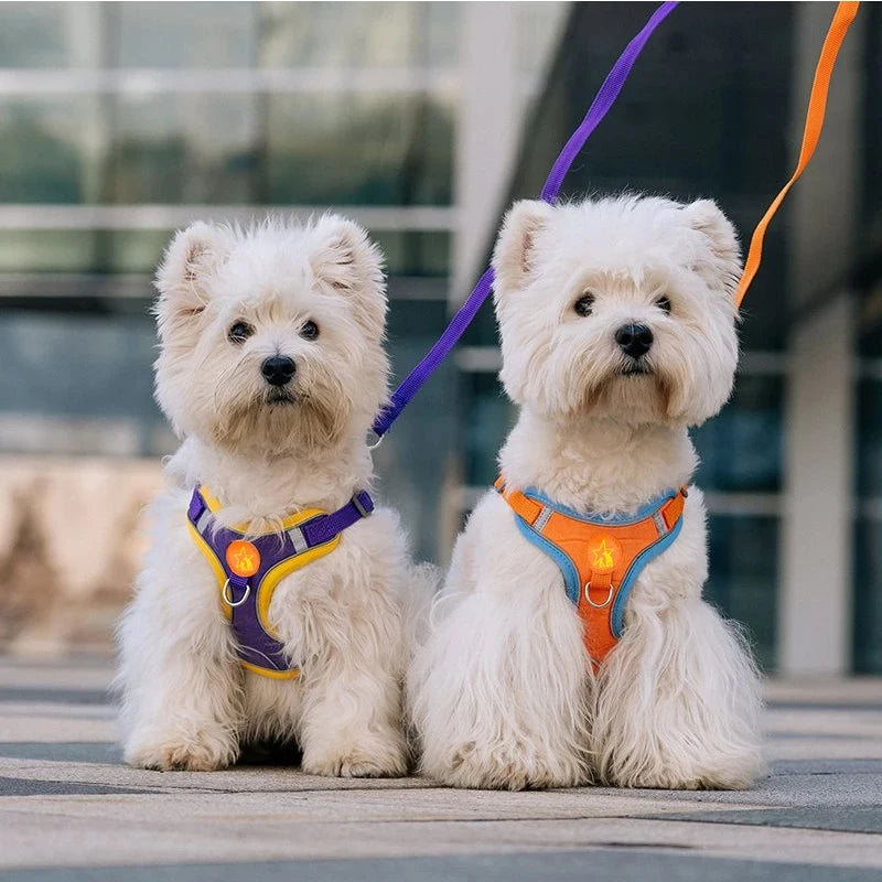 Reflective Soft Mesh Dog Harness with Dual Lead Hooks – No-Pull Vest for Small & Medium Dogs