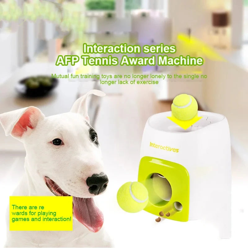 Dog Fetch & Treat Reward Toy