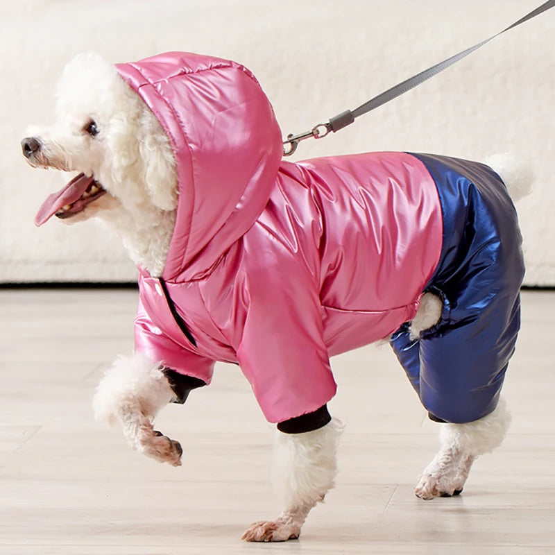 Waterproof Winter Down Hoodie Jacket for Small Dogs