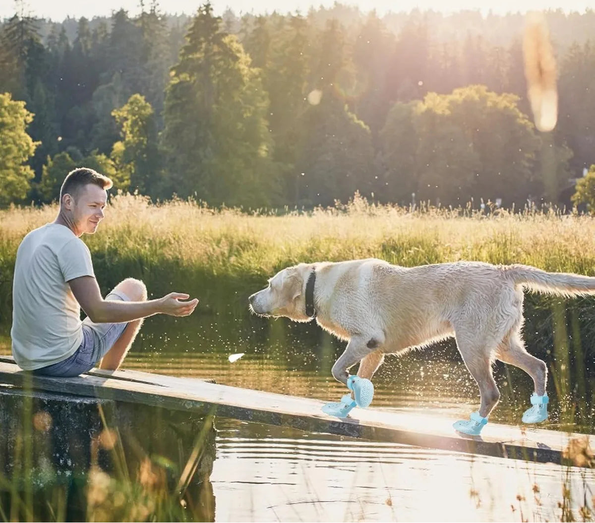 Chaussures pour chien toutes saisons - Bottes imperméables antidérapantes pour temps chaud et froid