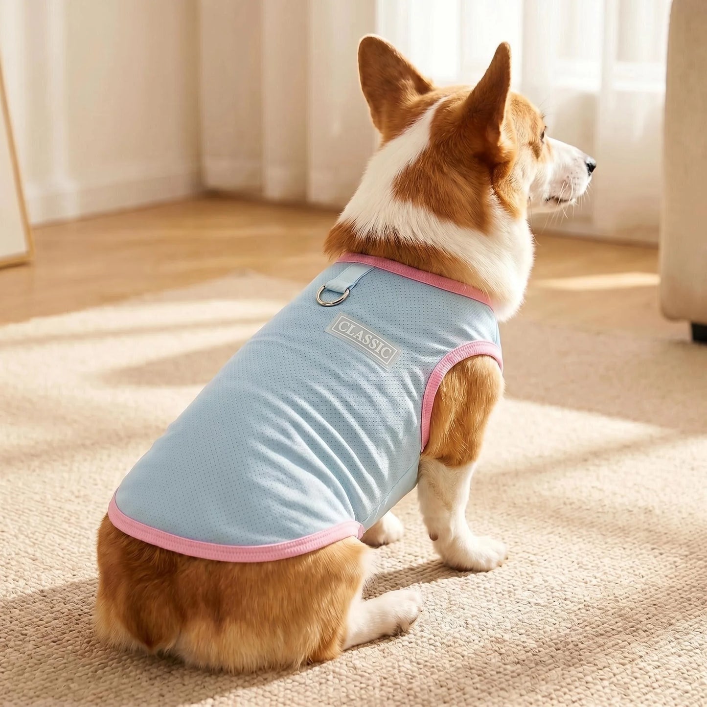 Breathable Mesh Cooling Vest with D-Ring for Small Dogs