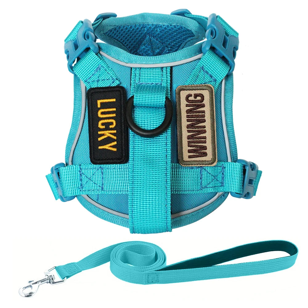Escape-Proof Cat & Small Dog Harness Set