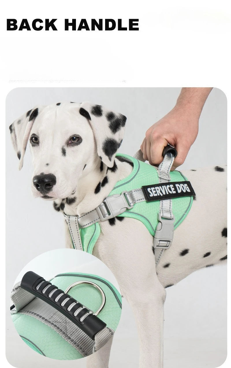 No Pull Dog Harness with Front Clip and Handle