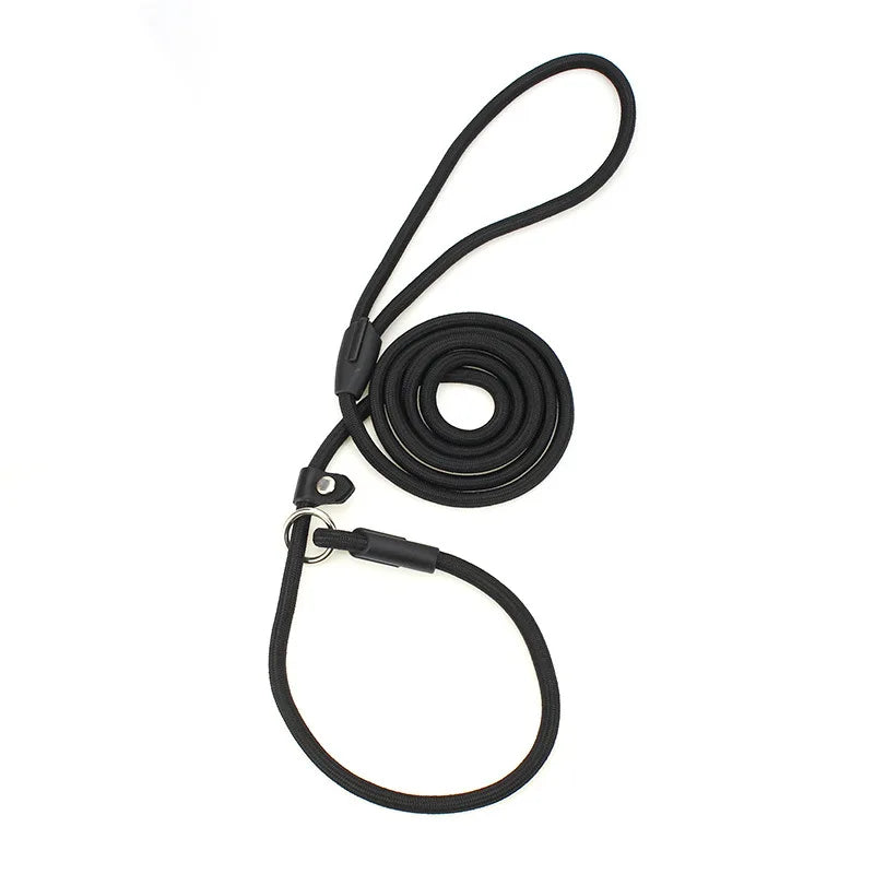 Nylon Slip Lead Training Leash for Small & Medium Dogs