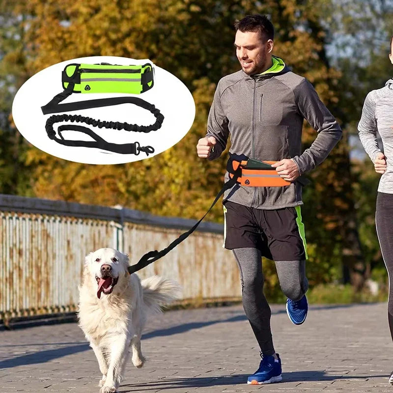 Laisse pour chien mains libres avec sac banane - Ceinture de course réfléchissante