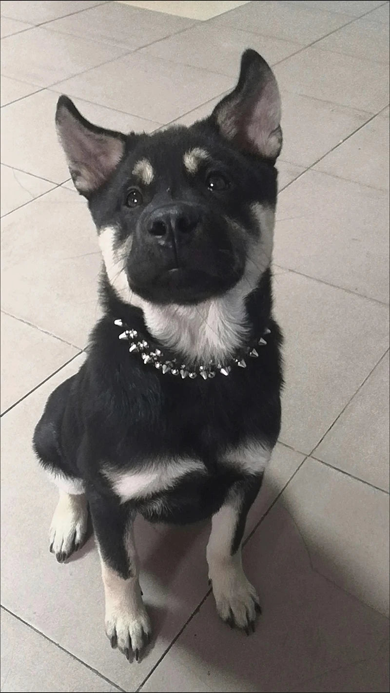 PU Dog Collar with Spike Rivet Adjustable Anti-Bite Pet Collars for Small Medium Large Dogs Bull Terrier Doberman Pinscher