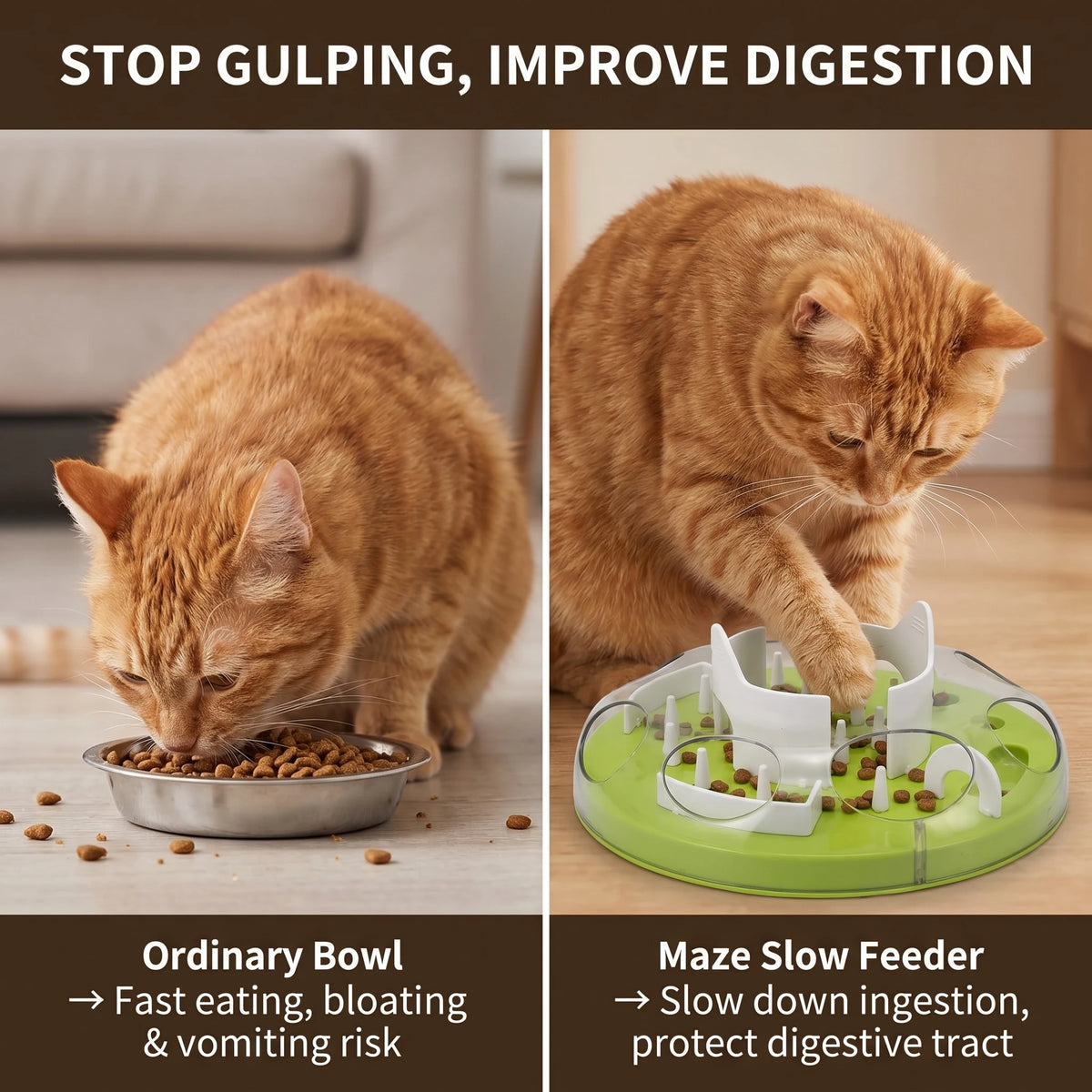 Interactive Cat Maze Puzzle Feeder