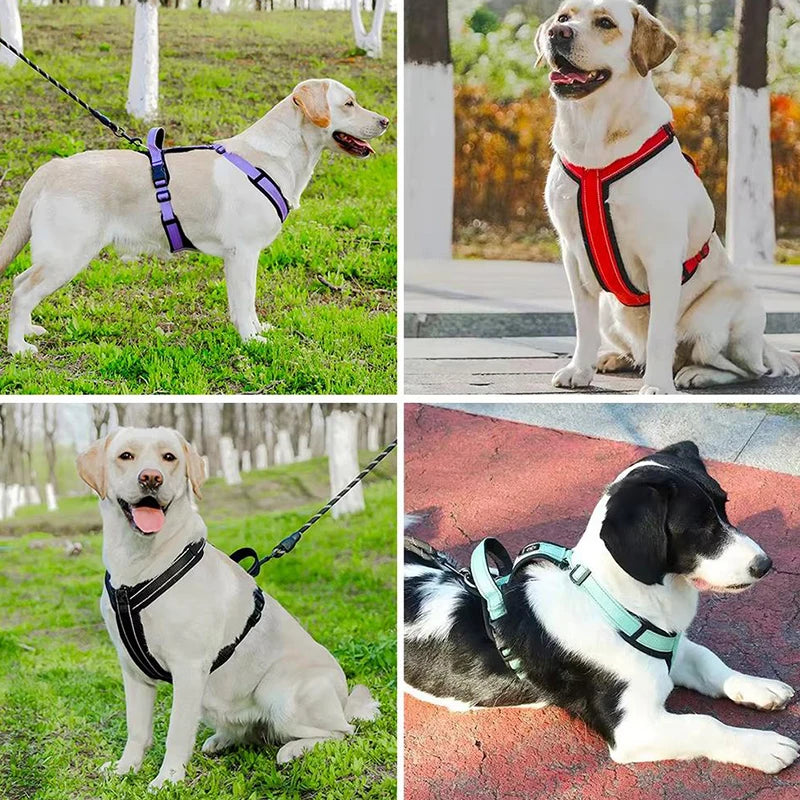 No-Pull Padded Vest Harness with Reflective Straps for Small & Medium Dogs