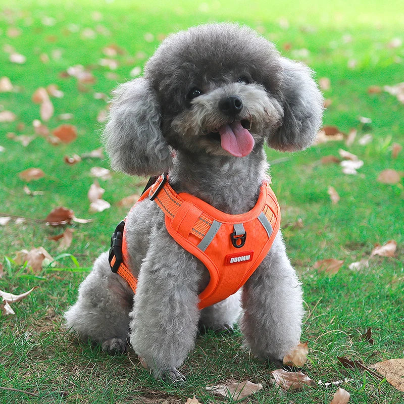 Adjustable Reflective Dog Harness - Safety Vest for Small & Large Dogs
