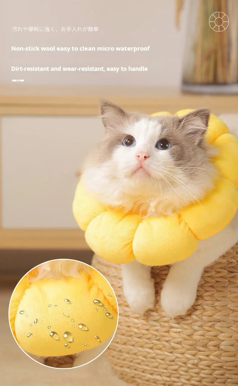 Collerette de protection tournesol – Cône élisabéthain en coton doux pour chats et chiens