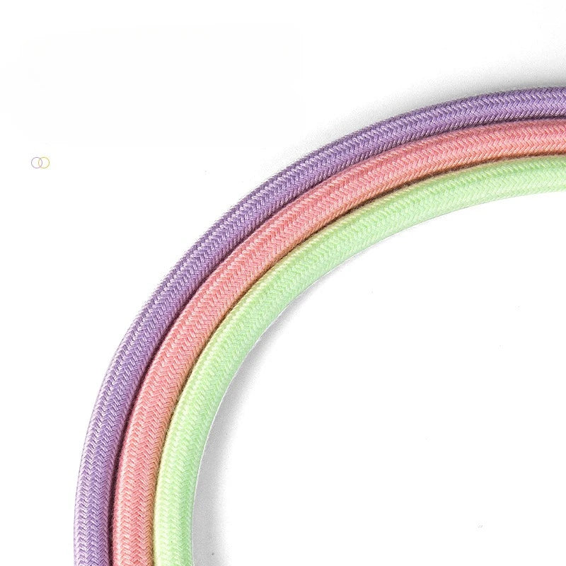 Laisse et collier combinés en nylon pour petits chiens