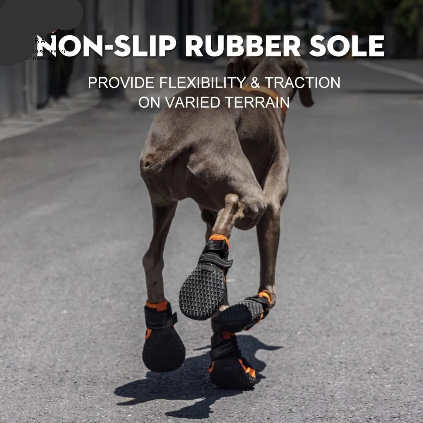 Waterproof Dog Boots for All Weather | Hot Pavement, Snow & Hiking | Set of 4