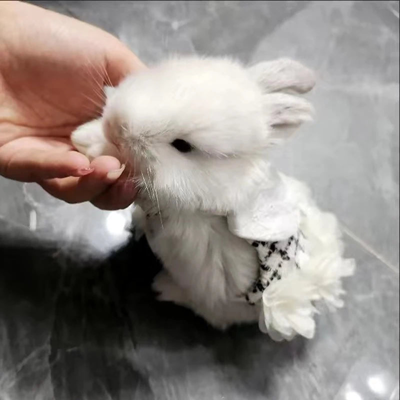 Adjustable Harness & Leash Set for Rabbits & Kittens
