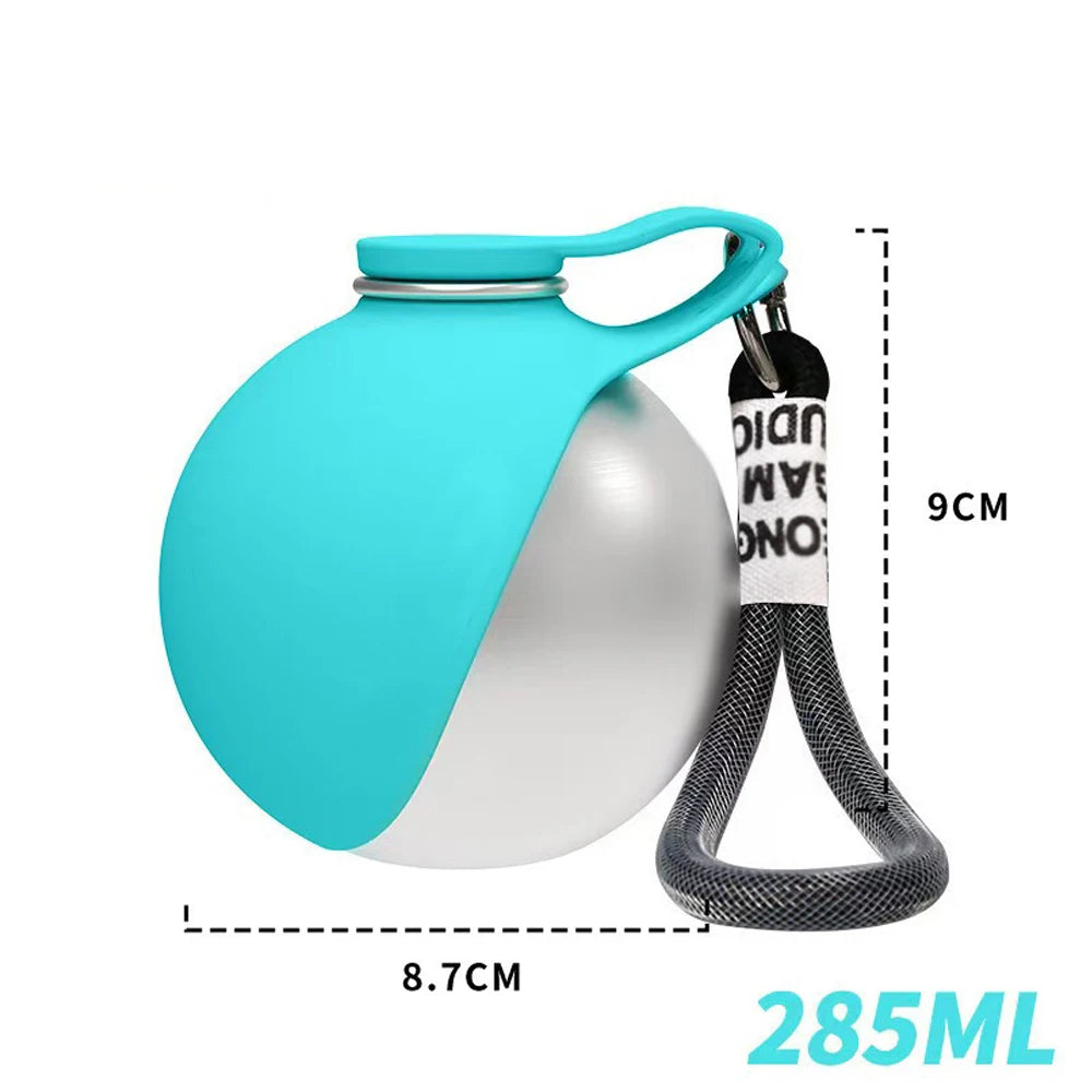 Portable Stainless Steel Travel Water Bowl for Dogs & Cats