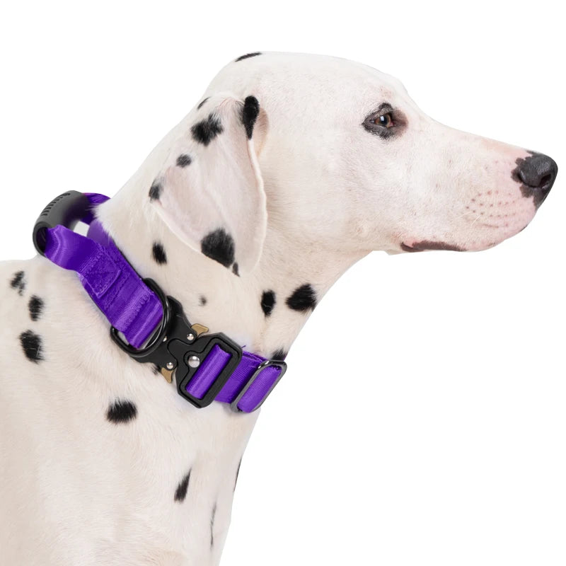 Heavy Duty Tactical Dog Collar with Handle — Metal Buckle Training Collar for Medium & Large Dogs