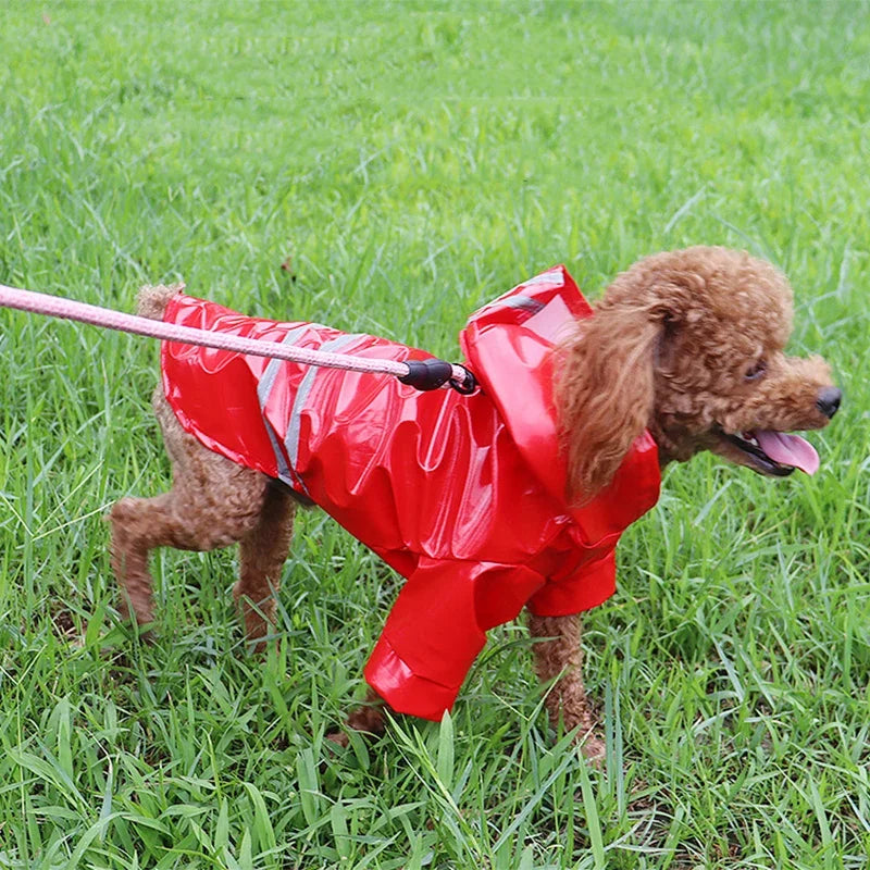 Imperméable réfléchissant pour chien | Cape Poncho coupe-vent pour petits chiens et chats