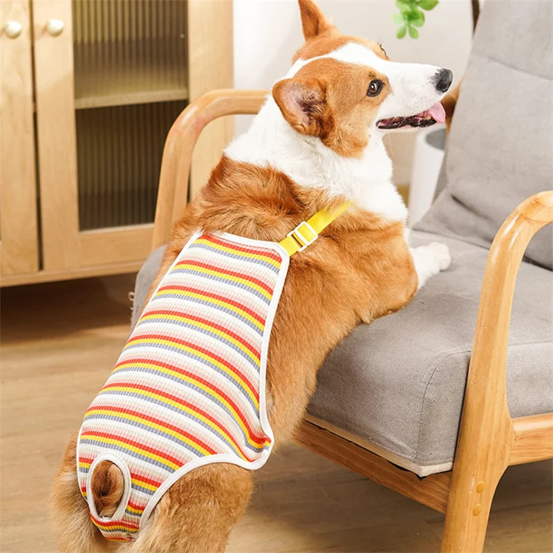 Striped Adjustable Physiological Shorts for Female Dogs