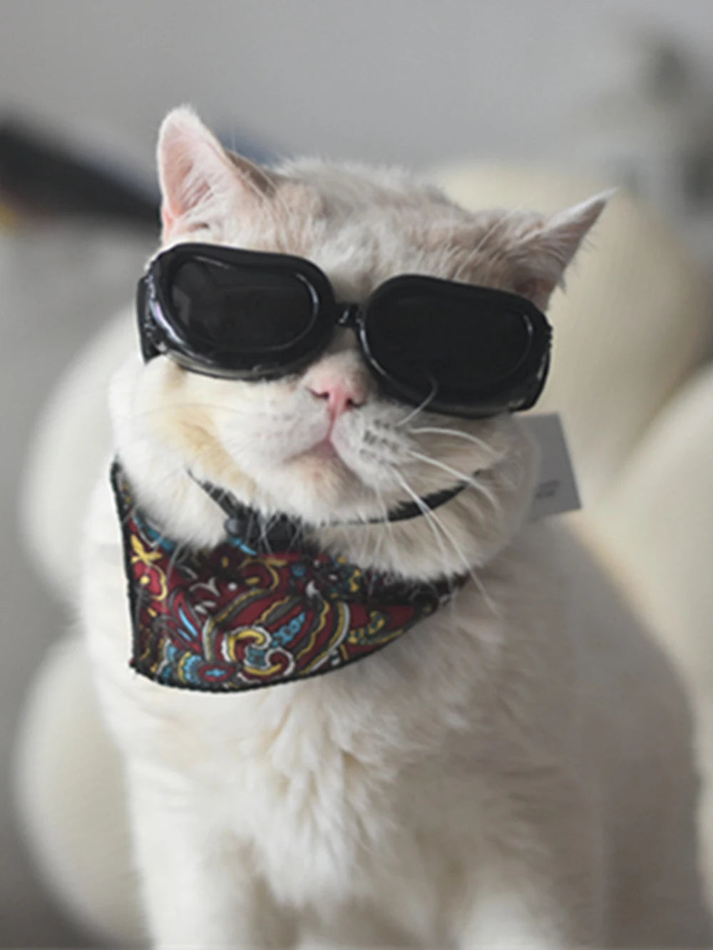 UV & Windproof Sunglasses Goggles for Small Dogs & Cats