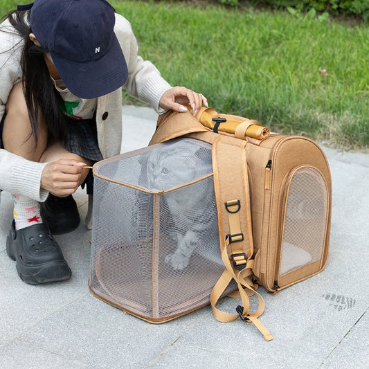 Expandable Mesh Pet Carrier for Cats & Small Dogs