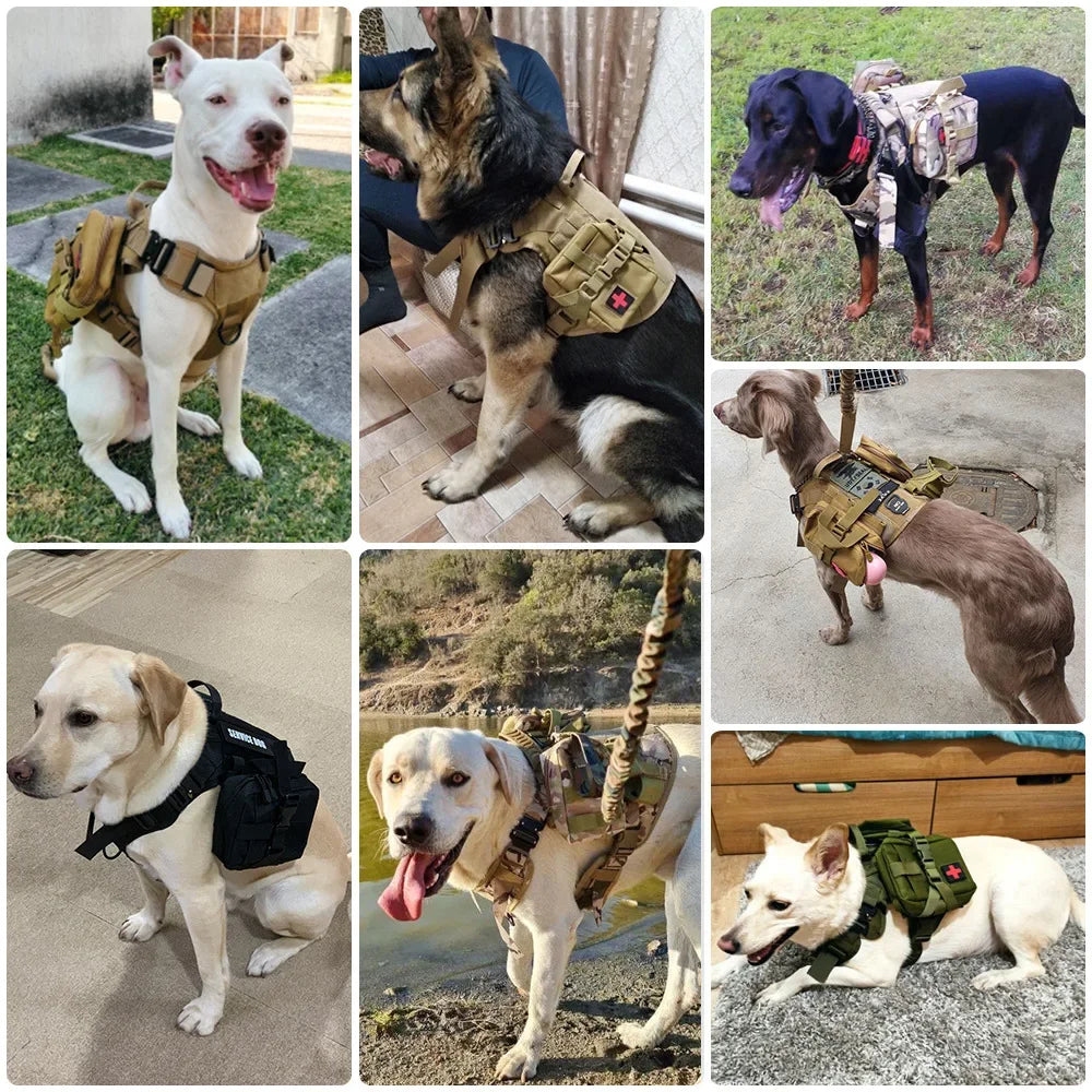 Dog Harness MOLLE Pouch Set with Belt