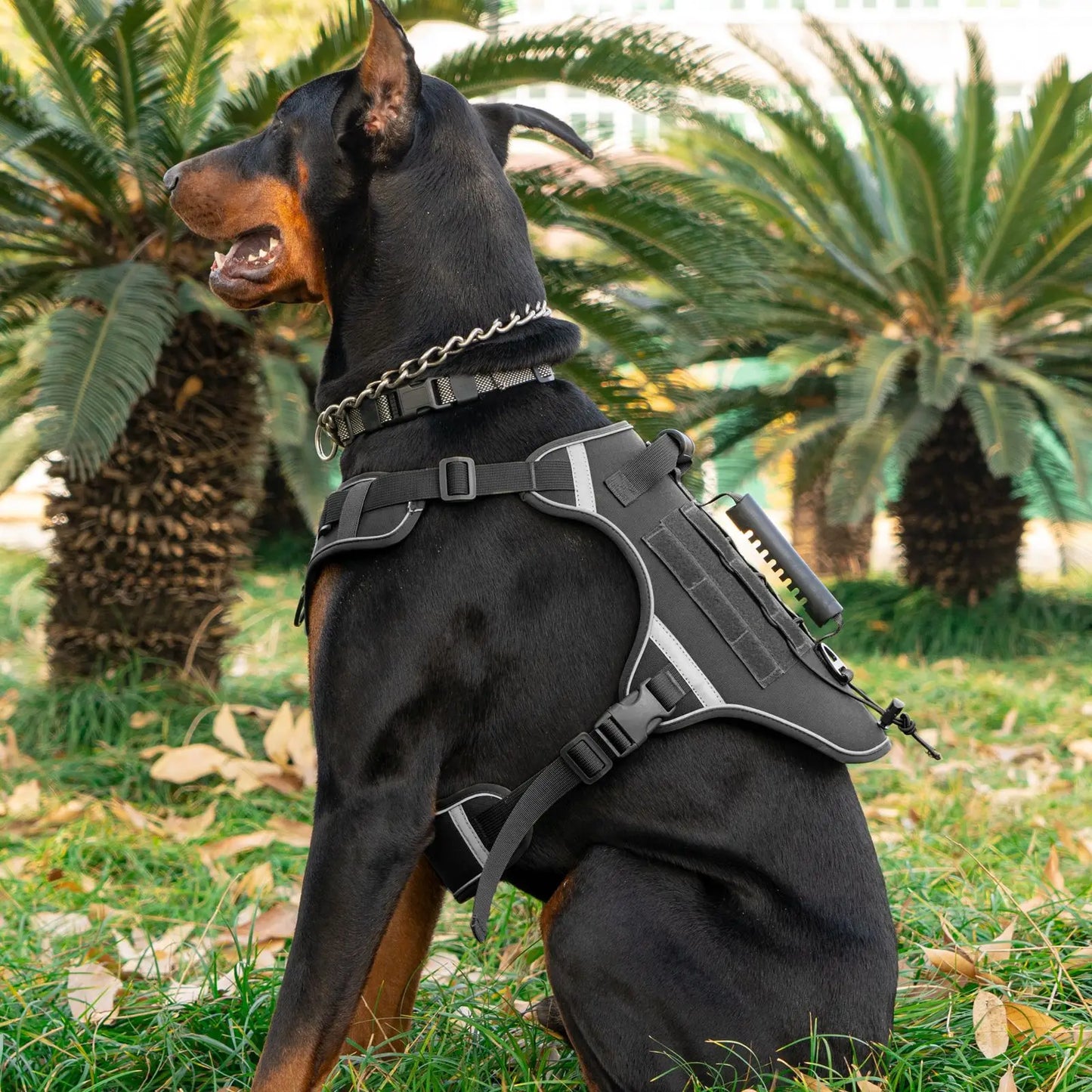 Tactical Dog Harness for Large Dogs