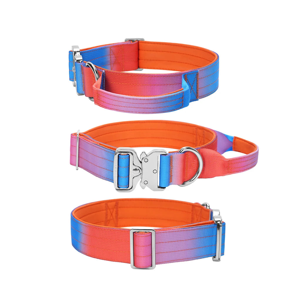 Wide Padded Dog Collar with Handle | Gradient Design for Large Dogs