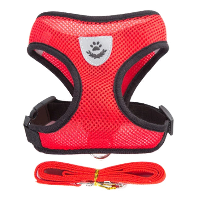 Breathable Mesh Vest Harness & Lead Set for Small to Medium Cats and Dogs