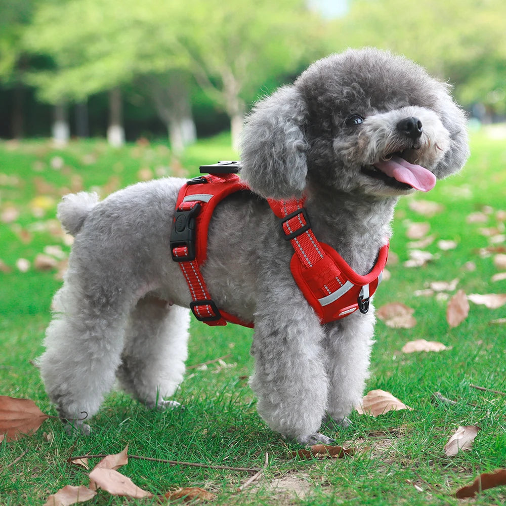 Reflective No-Pull Dog Harness Vest with AirTag Holder