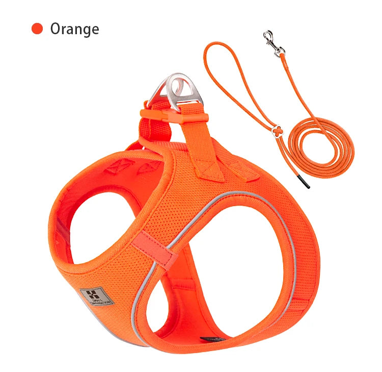 Reflective Dog & Cat Harness with Leash Set