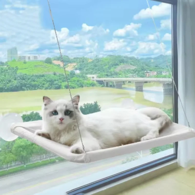 Cat Window Hammock